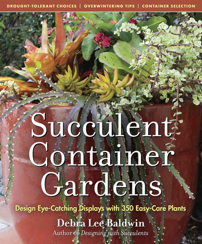 Succulent Container Gardens