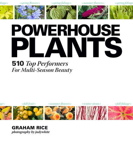 Powerhouse Plants