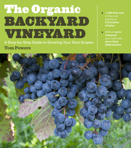 The Organic Backyard Vineyard