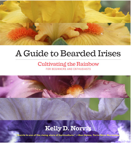 A Guide to Bearded Irises