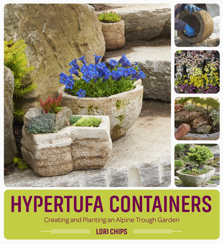 Hypertufa Containers