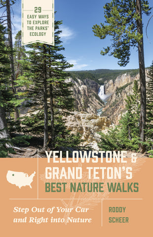 Yellowstone and Grand Teton’s Best Nature Walks